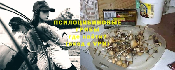 ALPHA-PVP Алексеевка